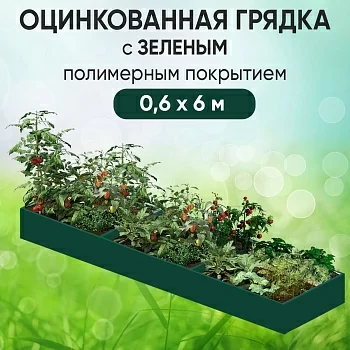 Грядка зеленая (0,6 х 6)